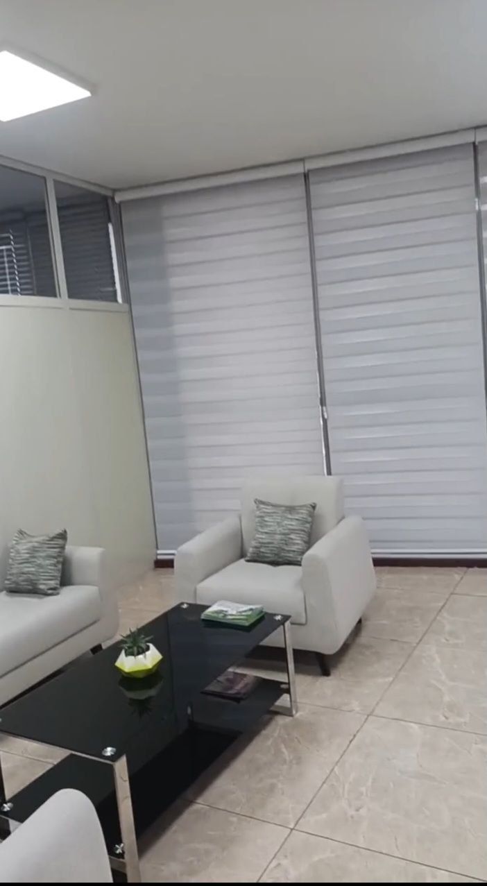 Zebra blinds, lounge seating area