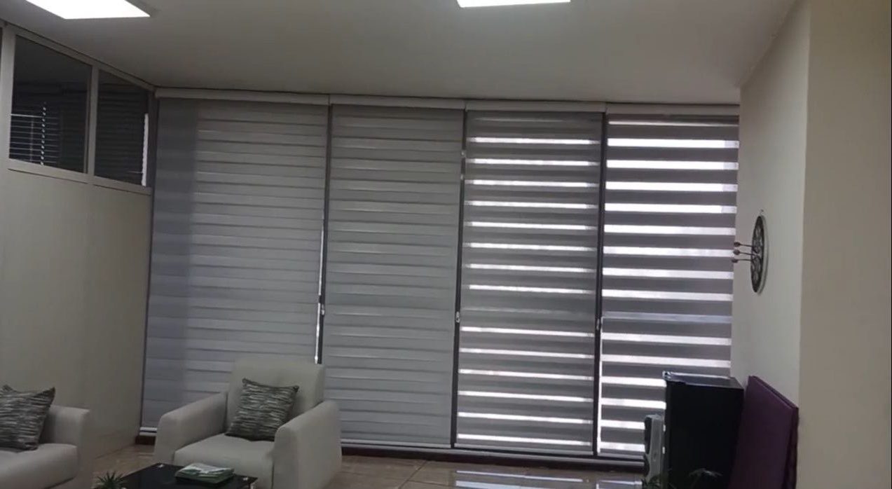 Zebra blinds, living room